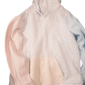 Puma Colorblock Hoodie